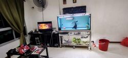 Blk 115B Eastlace @ Canberra (Sembawang), HDB 2 Rooms #543578201